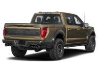 2026 Ford F-150 Raptor 4WD SuperCrew 5.5' Box Shelter Green  Shot 2